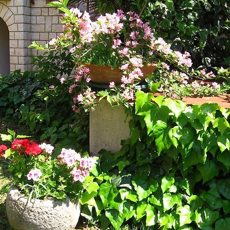 Guest House Caterina Porec Bagian luar foto