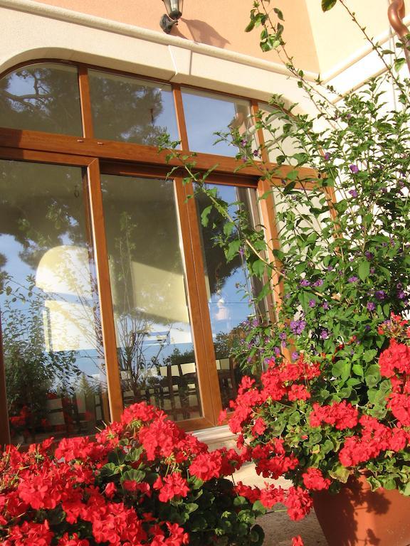 Guest House Caterina Porec Bagian luar foto