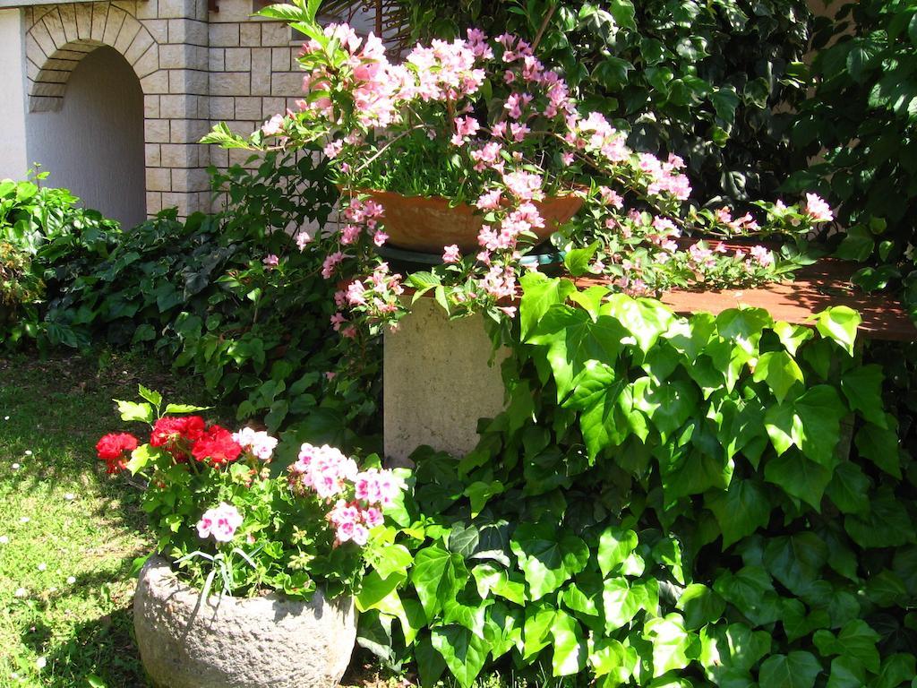 Guest House Caterina Porec Bagian luar foto